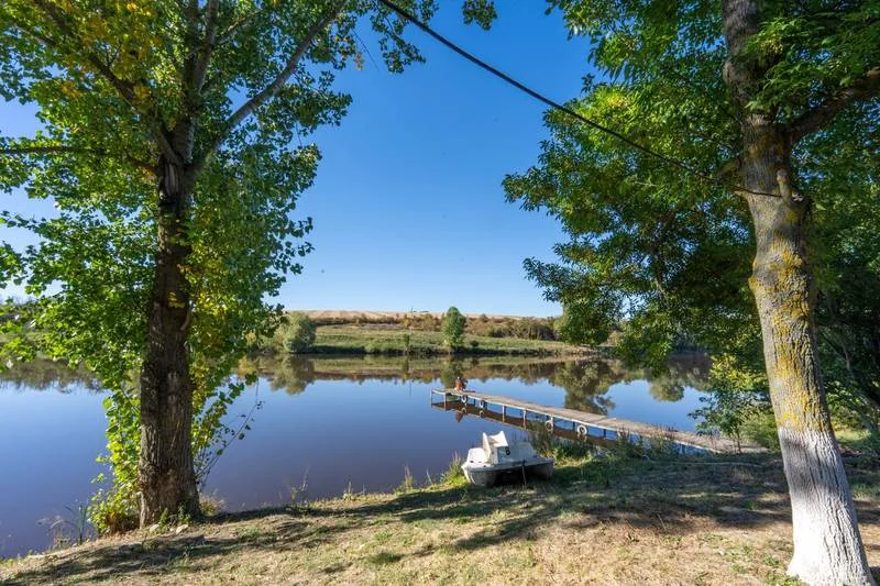 Trees framing a jetty beside the calm lake